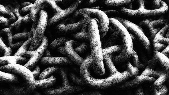 La coartada de-los obedientes©